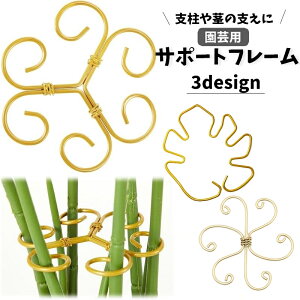  |pT|[gt[ xT|[gv[g xz_[ xpi Ap xŒ |  tό^ [t^ ƒ؉ _ K[fjO   |pi