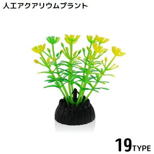  p lH Pi vX`bN I[ig ANAEvg lHϗtA i i   Mы 