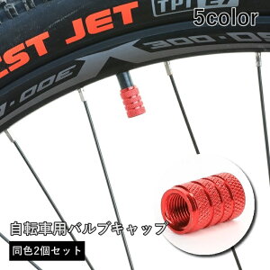 送料無料 エアバルブキャップ 2個セット 米式 バルブカバー 自転車用 サイクリング サイクルパーツ バイク 車 カスタム 取り付け簡単