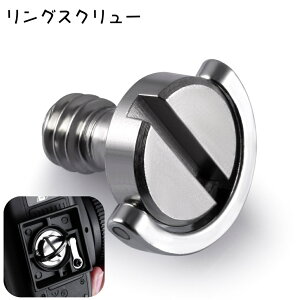  OXN[ JANZT[ CO OrlW JlW 1/4C`lWΉ A_v^[ Xgbv tp[c ჌t fW^J i