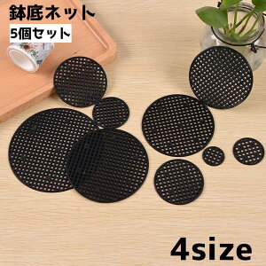  lbg }bg K[fjO 5Zbg ~` T[N  K[fjOpi yRh~ ʋC | bV