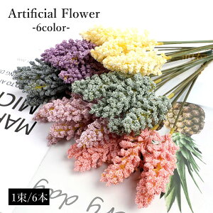  tFCNt[ 6{ 1  ԑ  ~ju[P ʐ^ Mtg v[g 蕨 Ntg t[AWg