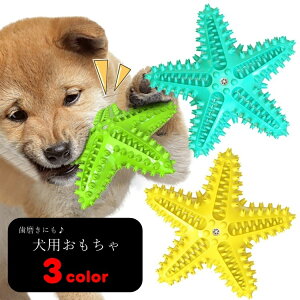 送料無料 犬用おもちゃ 犬用玩具 ラバートイ ドッグトイ ペット用おもちゃ ペット用玩具 噛むおもちゃ 音の鳴るおもちゃ ヒトデ型 星型 スター型 歯磨き 笛付き ホイッスル付き シンプル カ