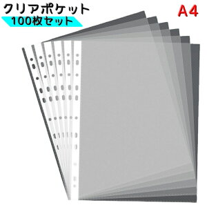  NA|Pbg 100Zbg A4TCY NAt@C tB  oC_[ [Y[t   3 4 XNGA