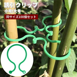  UNbv |pNbv 100Zbg x  s Œ AT|[g  ȒP K[fjOpi |pi U ƒ؉ _  