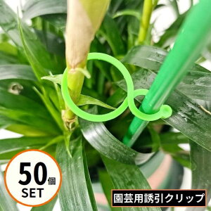  |pNbv UNbv 50 ̎ ^b` A Œ  oh x  s ږ ƒ؉ AT|[g