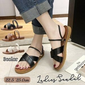  T_ fB[X ؂ tbg XgbvT_ C  2WAY Vv n i` ₷ l  ubN  zCg  uE  I[v