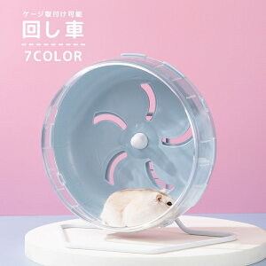  񂵎 zC[ nX^[ ybgpi lY~ X^ht  jO ^s V  XgXU