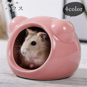  nX^[nEX nX^[pnEX pnEX ybgpCeA ybgpi ybgObY 퐻 ی` n Aj}`[t `[t Vv JWA |b