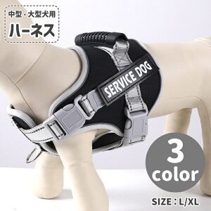  n[lX  Pi p ybgpi ybgObY ^ ^ nht UObY o