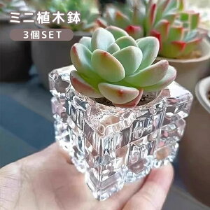 送料無料 ミニ植木鉢 3個セット キャンドルホルダー フラワーポット 四角形 スクエア 多肉植物 フェイクグリーン アロマキャンドル 日用雑貨 インテリア雑貨 ガラス製 小物入れ アクセサリ