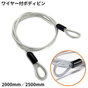 送料無料 ボディピン ワイヤー付き ステンレス 直径2.5mm 長さ 2000mm 2500mm 脱落防止 ラジコン ボディ シャーシ固定