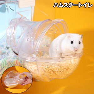  nX^[gC nX^[nEX p Vя C oX[ ʏ V[ NA XPg юUh~ P[WOt