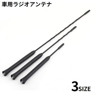  WIAei ԗpi J[pi i p[c bh M6 FM AM y ԊO ܂ C  9 11 16C`