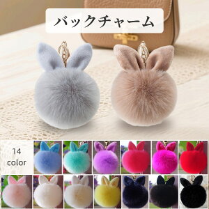  obN`[ t@[`[ L[z_[ ET  tFCNt@[ ӂӂ JoLx  v[g