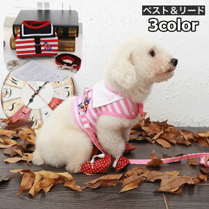  xXg [h 2_Zbg ybgEFA p Lp ybgp xXgn[lX }WbN e[v bV ʋC UR ȒP {[_[ } JWA  킢 