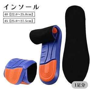  C\[ 1 ~ jp Y j fB[X  CPApi Ռz ʋC  C Xj[J[ TCY\