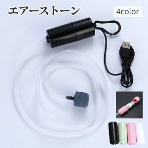  GA[Xg[ GA[V ybgpi ANAE Mы _f|v USB   C uNuN ^ É 