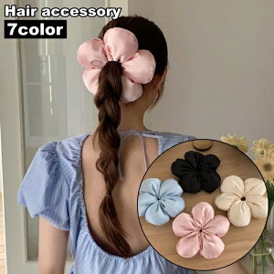  VV wAS S 傫 傫 fB[X  wAANZT[   ܂Ƃߔ   t@bV