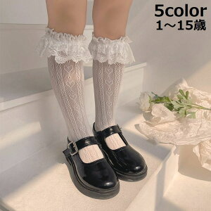  nC\bNX j[nC ̎q LbY qp C O [X t n[g  tH[} \  w  Ǝ  ܎O ct ۈ牀 wZ \b