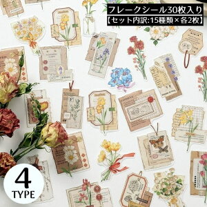  t[NV[ XebJ[ 30Zbg R[Wf  蒠fR Ao L J_[ v[g Mtg g