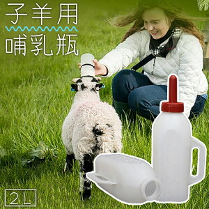  qrpMr M p qcW M qr eRr 2L t t lHM M ۈ  ~N {g ٓr