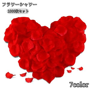  t[V[ Ԃт 1000Zbg    o A[gt[ t[y^ fR[V Ԑ  EGfBO p[eB Cxg TvCY DIY J