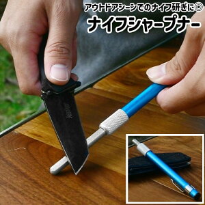  iCtV[vi[ u iCt  n  _ Ƃ n Vv ^  iCt  eiX Lv AEghA  u[