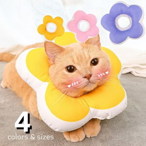  GUxXJ[ \tgJ[ NbV GJ Aj}lbJ[  L ^ rߖh~ ނh~ p Ì hbO Lbg ybgpi PAObY p[v C