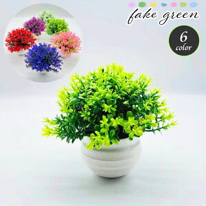   tFCNO[ A ϗtA  u  t [t A N₩ CeA ~j|bg  킢 rO  Q Vbv X