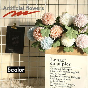   tFCNt[ ꑩ 2{ Pi t[AWg ԑ  CeAG t[  Vv