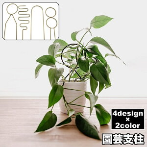 送料無料 園芸支柱 植物支柱 ガーデニング 園芸用品 家庭菜園 育苗資材 花支柱 アーチ支柱 フラワースタンド 観葉植物 鉢植え サポート おしゃれ かわいい モダン