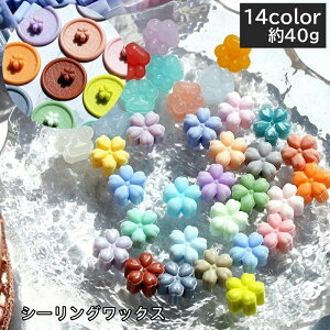  V[ObNX X 40g [ Ԍ^ t[   F u[ sN CG[ ubN u[ uE g AeB[N Jt C{[  L[