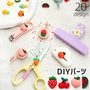  DIYp[c 10Zbg  \t Ȃ p[c fRp[c ANZT[p[c |p[c nhNtgp[c nhCh t[c ʕ ڋʏĂ  킢