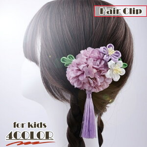  wANbv LbY WjA a  wAANZT[ ΂Nbv t[   킢  ̎q qp ܎O Be 