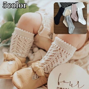  nC\bNX C xr[ LbY qp ̎q j̎q bOEFA [X Vv PF  킢  qǂ ǂ jZbNX JWA tH[} o