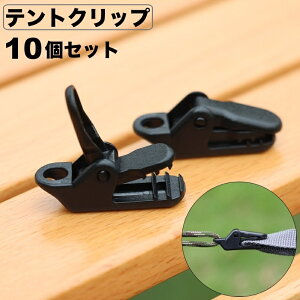  egNbv ^[vNbv 10Zbg Lvpi AEghA ŒpObv egŒ O j h ΍ RpNg ^ ֗