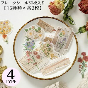  t[NV[ XebJ[ 30Zbg R[Wf  蒠fR Ao L J_[ v[g Mtg g