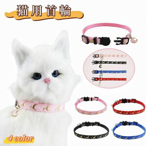  Lp ybgpi Lp Z[teBobN J[ lR ˂ Lbg   [ X^[ `[t U o ߂  킢