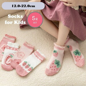  LbYpC LbYp\bNX 5Zbg qpC qp\bNX xr[ WjA ̎q K[Y V[g N[ sN  C`S t[   킢