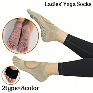  K\bNX  C wʂ ܐȂ  5{w ~ ɂ V[g Ԃ tBbglX seBX