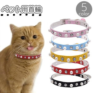  ybgp L  lR Ck  tFCNp[ CXg[ PF ˂  ybgObY 킢  ybgpi