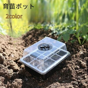  c|bg 12 Wt Jo[ ʋC cgC c ܂  琬 ͔|  vX`bN ƒ؉  A