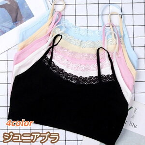  WjAu t@[Xgu qp WjA uW[  mC[ n[tgbv n [X w w JbvȂ pbhȂ Vv 킢  ̎q 