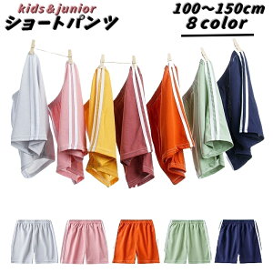  V[gpc LbY xr[ WjA j̎q ̎q qǂ q Y{ EGXgS Vv 2{ C  킹₷ 