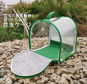   ybg P[W P[W ώ@  ঒ ܂肽 P[W P[X o^tCP[W 甠 ̏W bV  ʋC lbg nh ^