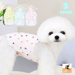  ybgEFA hbOEFA  L L~\[ Ȃ vI[o[ [X ybgpi ̕ L̕ U m Vv   ybg̕ LbgEFA yb