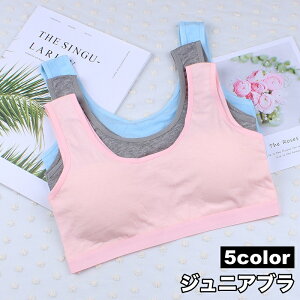  WjAu n[tgbvu Jbvt WjA LbY ̎q q uW[ X|[cuW[ mC[uW[ Ci[  Vv n w w 