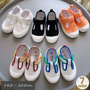  Xj[J[ LbY xr[ WjA qp j̎q ̎q C V[Y }WbN e[v n LoXn bV TXgbv ʋC  ʉ ʊw {[CY K[Y z