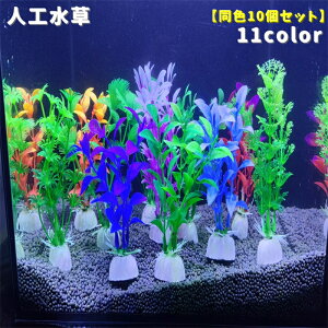  Mыp lH F10{Zbg A  ANAE  CAEgpi tFCN Mы C IuWF   Ϗ܋